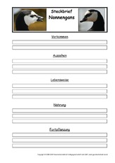 Steckbriefvorlage-Nonnengans.pdf